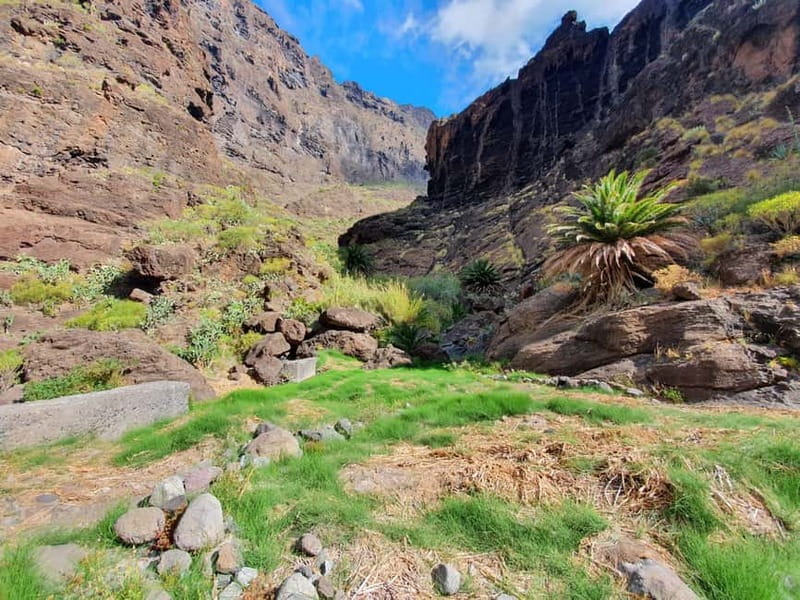 Masca Gorge Guided Hike - Where the day starts: Santiago del Teide meeting point and timing
