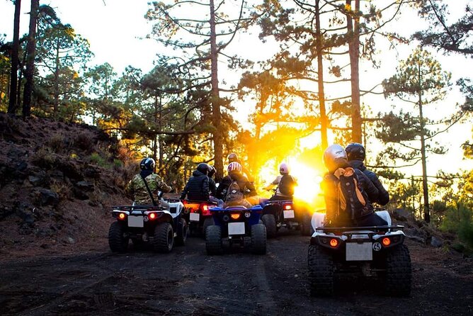 Masca Valley Guided Buggy Tour. Small Group. - Buggy driving rules: who can drive and what that changes