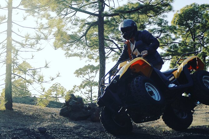 Masca Valley Guided Buggy Tour. Small Group. - Teide on the return: the best kind of bonus viewpoint