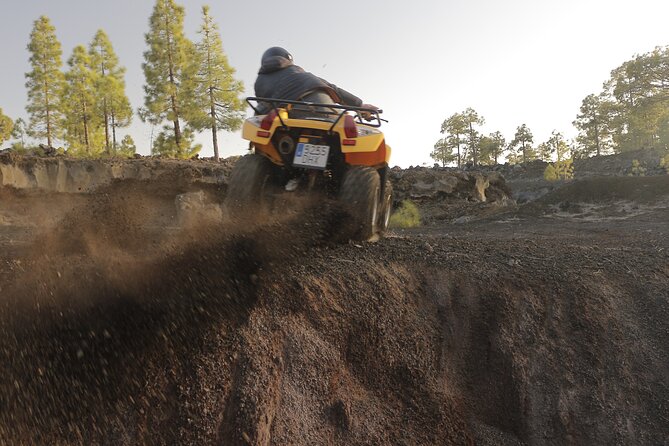 Masca Valley Guided Buggy Tour. Small Group. - Price and value: $235.40 per group up to 2