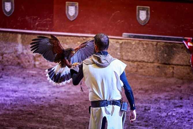 Medieval Castle with dinner from Puerto de la Cruz in TenerifeSur - Who should book this medieval castle dinner