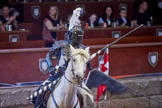 Medieval Castle with dinner from Puerto de la Cruz in TenerifeSur - The 2.5-hour plan: jousting and falconry, then you eat