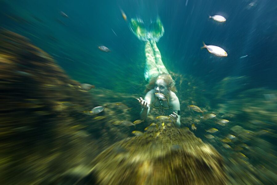 Mermaid Experience and Photo Shooting including make up - Key Highlights Worth Your Attention