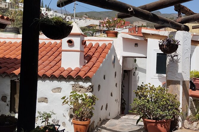 Mojo Cooking Class in an Ancient Canarian Village - Your Kitchen Lesson: How the Mojo Cooking Class Works