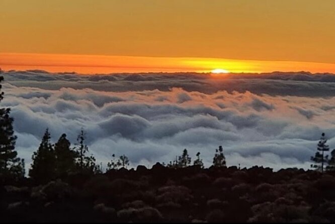 Monster Quad Teide Tour - Guide Power: Who You’ll Meet and What They Add