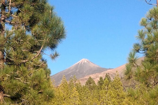Monster Quad Teide Tour - Starting at Chío: Meeting Point, Pickup, and Why Timing Matters