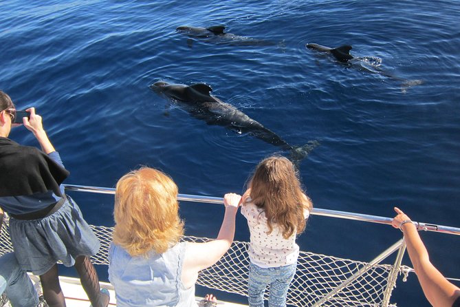 Most Famous Catamaran in Tenerife Island (2 hours and 3 hours tours) - If the sea is rough: how to make the ride feel manageable