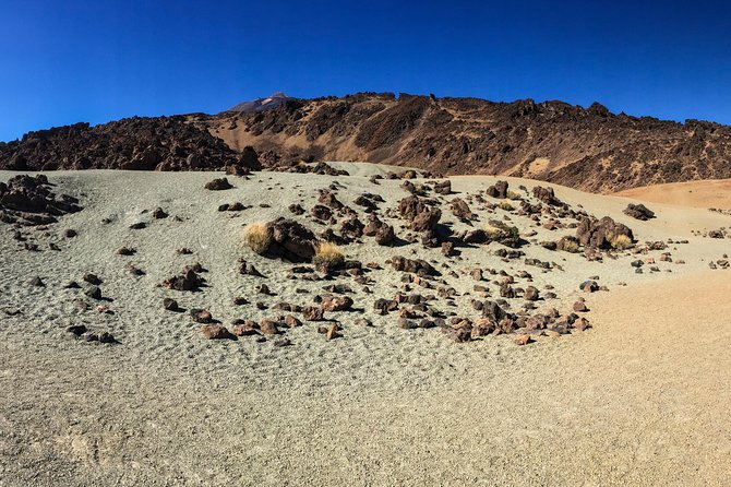 Mount Teide and Tenerife North with Food & Wine Tasting Private Tour - Private Mount Teide and Tenerife North: what you’re really buying