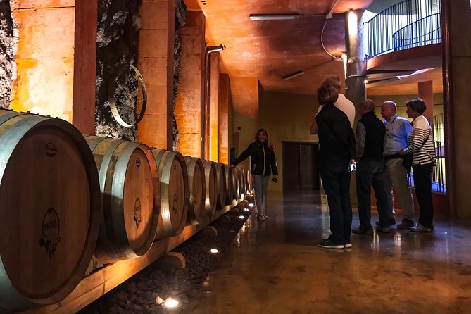 Mount Teide and Tenerife North with Food & Wine Tasting Private Tour - The drive down toward El Sauzal: La Orotava valley to vineyard country