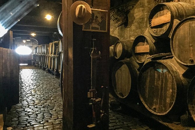 Mount Teide and Tenerife North with Food & Wine Tasting Private Tour - Bodegas Monje: winery visit, terrace lunch, and the three-wine pairing