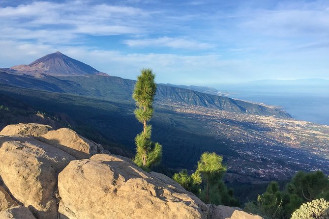 Mount Teide and Tenerife North with Food & Wine Tasting Private Tour - Lunch details: what you’ll actually eat (and why it matters)