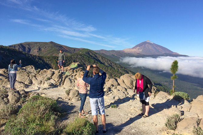 Mount Teide and Tenerife North with Food & Wine Tasting Private Tour - Price and value for a private tour up to 2