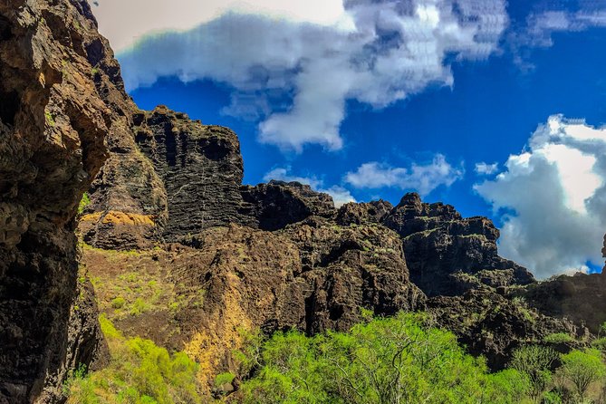 Mount Teide and Teno Country Park Private Tour - First stop: Teide National Park and the “how is this real?” feeling