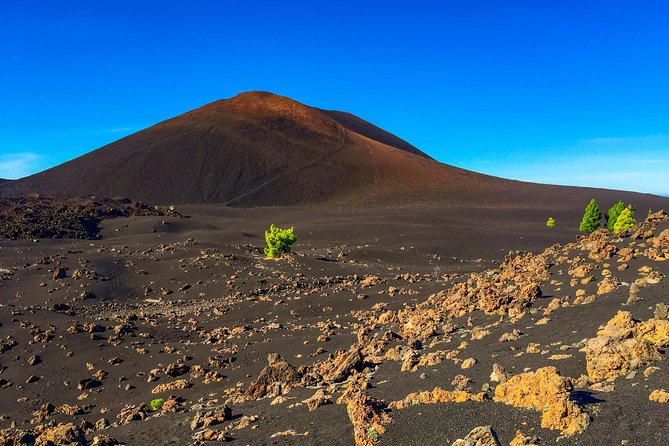 Mount Teide and Teno Country Park Private Tour - Timing and the Teide Cable Car reality check