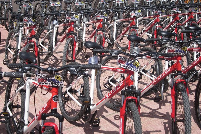 Mountain Bike Rental Tenerife - No fixed itinerary: what freedom looks like in real life