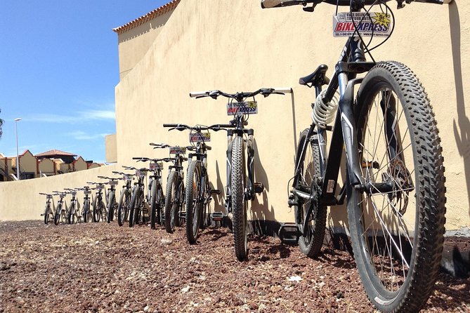 Mountain Bike Rental Tenerife - Delivery in Costa Adeje, Las Américas, and Los Cristianos