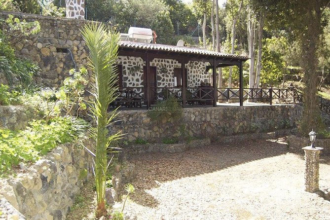 Mt. Teide and Masca Valley Tour in Tenerife - Icod de los Vinos: the Drago tree stop plus a lunch rhythm check