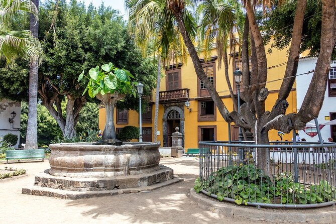 North West Tenerife Secrets - Lunch, drinks, and the wine/local tasting reality check