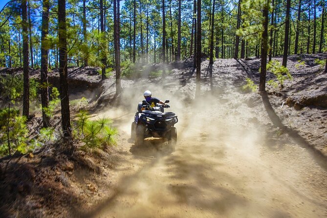 Off-Road Quad Tour from Woodlands to Volcanic Heights - Key Points You’ll Care About