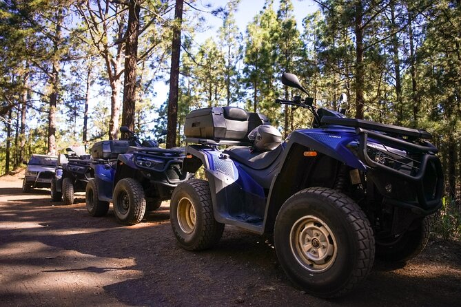 Off-Road Quad Tour from Woodlands to Volcanic Heights - Guides, Safety, and First-Time Quad Confidence