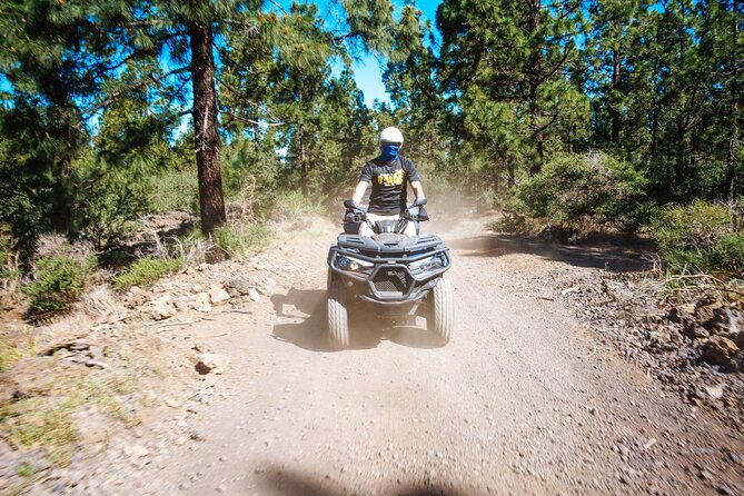 Off-Road Quad Tour from Woodlands to Volcanic Heights - Who This Tour Fits Best (and Who Might Skip It)