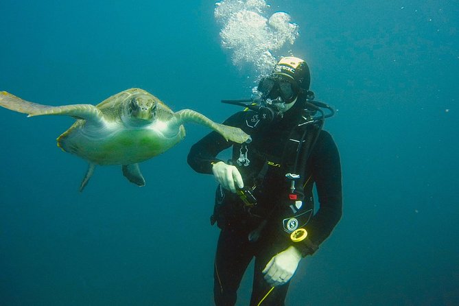 OPEN WATER CERTIFICATION - Become an autonomous diver up to 18m ! - Why Tenerife Works So Well for PADI Open Water