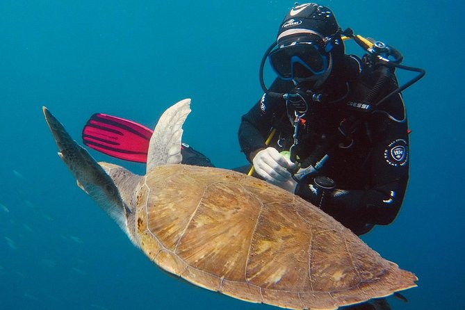 OPEN WATER CERTIFICATION - Become an autonomous diver up to 18m ! - Course Length: 3 Days vs 6 Days (How to Choose)
