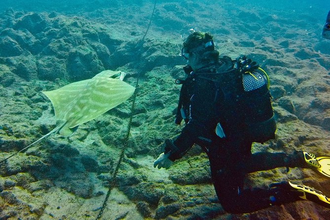 OPEN WATER CERTIFICATION - Become an autonomous diver up to 18m ! - The Training Team: Safety With Real Patience