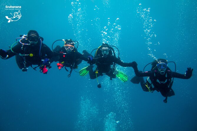 PADI Advanced Open Water Diver Course (AOWD) - 2 days - Day 2: deep and shipwreck sessions, then a night water session with Fran