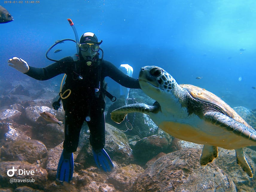 PADI Discover Scuba Diving Course in Tenerife - The 30-minute safety briefing that makes first-timers feel safe