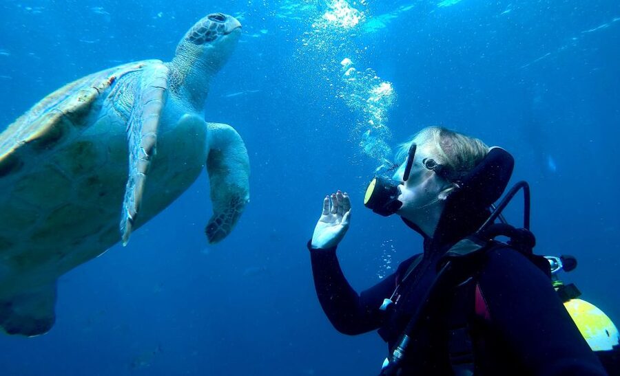 PADI Discover Scuba Diving Course in Tenerife - Shallow-water practice: learning buoyancy before you go deeper