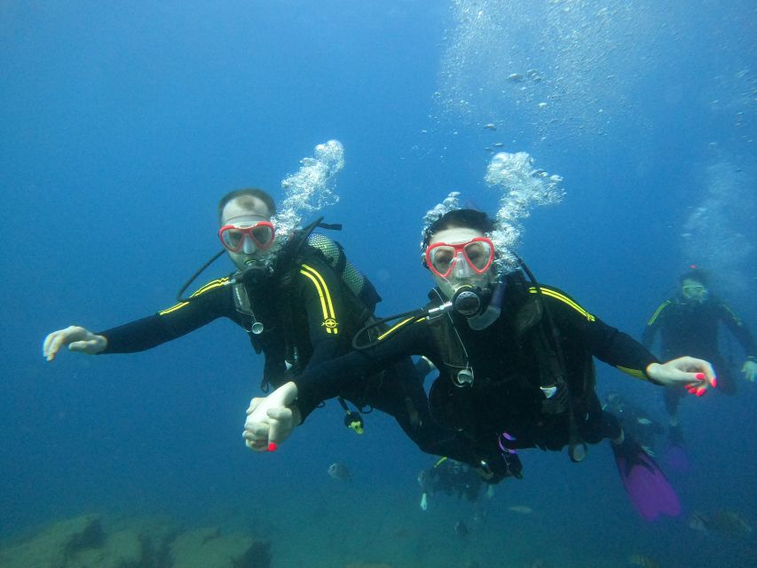 PADI Discover Scuba Diving Course in Tenerife - The main underwater session: up to 12 m with a PADI instructor nearby