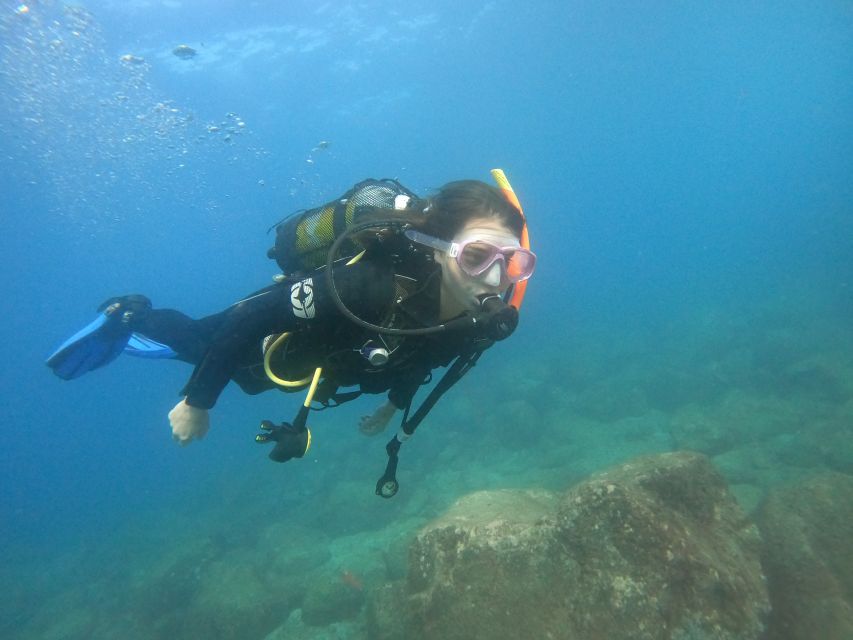 PADI Discover Scuba Diving Course in Tenerife - Languages, group size, and what small groups mean for you