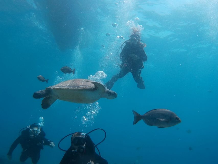 PADI Open Water Course in 3 Days - Key highlights worth planning around