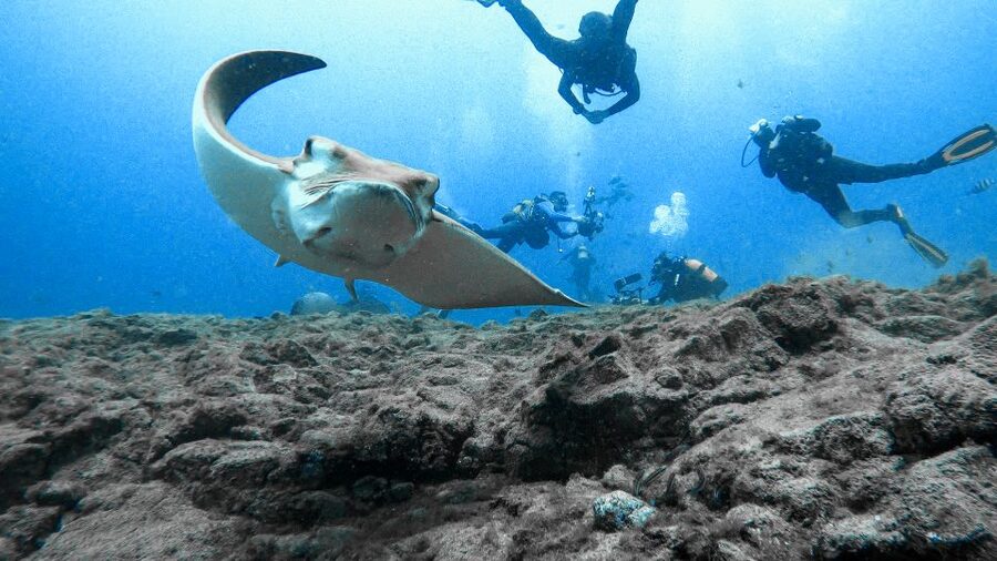 PADI Open Water Course in 3 Days - What the Open Water Diver cert really means (and what it doesn’t)