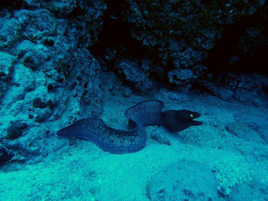 PADI Open Water Course in 3 Days - Price and value: what $465 includes, and what you’ll pay extra