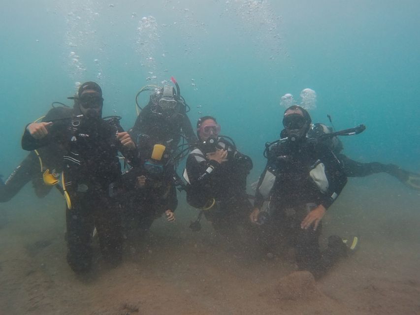 PADI Open Water Course in 3 Days - Course layout: video prep, confined skills, then 4 open-water sessions
