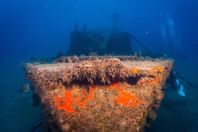 PADI Open Water course in Playa de las Americas - Price and Value: Is $504.41 a Good Deal?
