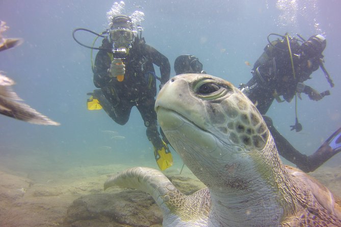 PADI Open Water Diver Course - Price and what you’re really paying for