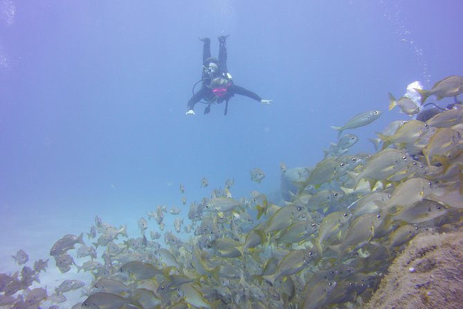 PADI Open Water Diver Course - The schedule factor: how to plan your clothing and comfort