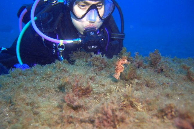 PADI Open Water Diver Course (OWD) - 2.5 days - Underwater training: what you’ll do and why it matters