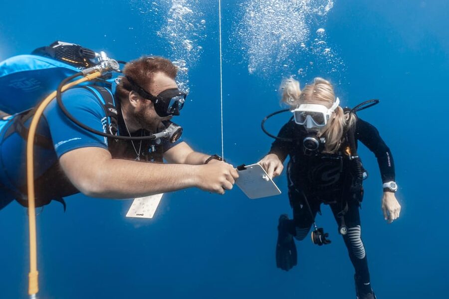 PADI Open Water Diving Course Tenerife - Your schedule in real life: a 5-day program with 3–4 days of training