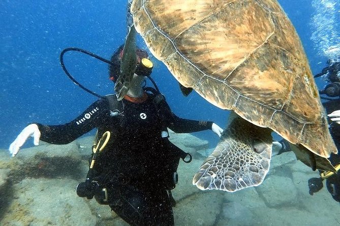 PADI Scuba Dive Course in Costa Adeje - The Flow: Three Classroom Sessions and Two Underwater Training Sessions