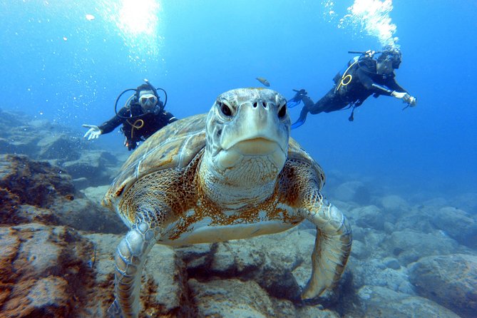 PADI Scuba Dive Course in Costa Adeje - What’s Included: Gear, Bottled Water, and a Professional Instructor