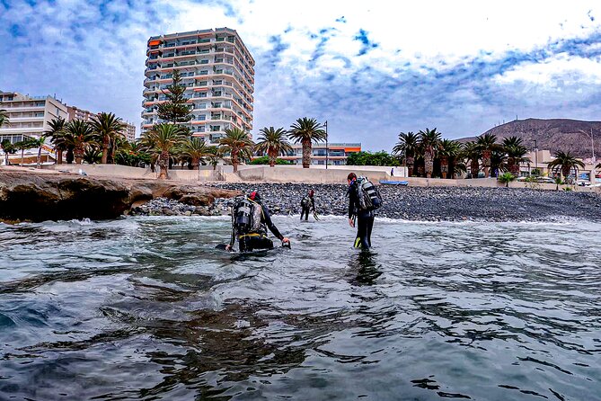 PADI Scuba Diving Courses in Tenerife: All Specialities Until Divemaster - Who This Course Fits Best (And Who Should Reconsider)