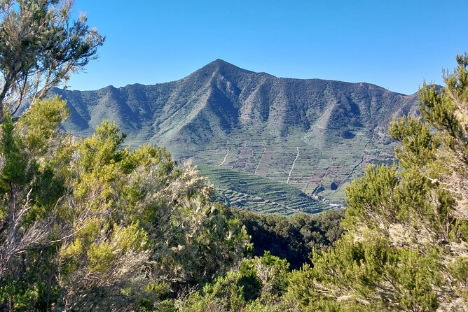 Panoramic route across the Teno rural Park in Tenerife - Village passes and mountain-shepherd traditions