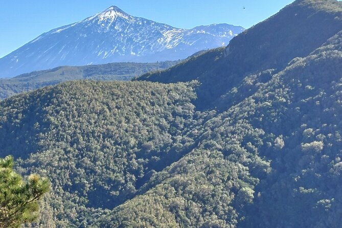 Panoramic route across the Teno rural Park in Tenerife - Stop in Buenavista del Norte: where the hike ends and real life resumes