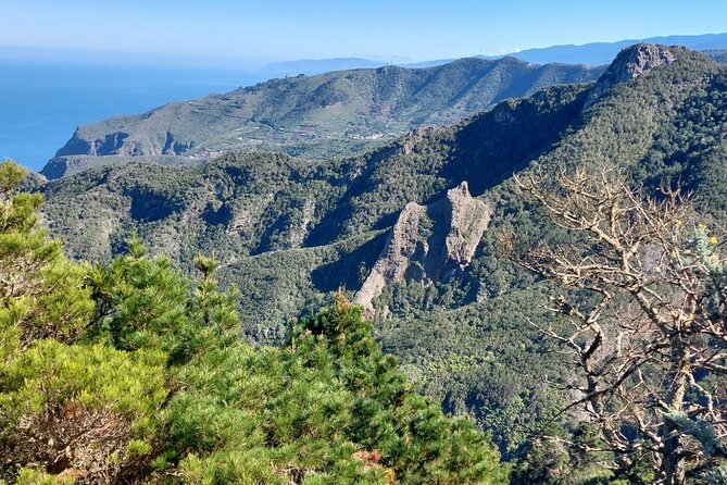 Panoramic route across the Teno rural Park in Tenerife - What you get for the price (and what makes it good value)