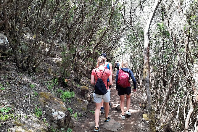 Panoramic route across the Teno rural Park in Tenerife - Who should book this hike (and who might want to rethink it)
