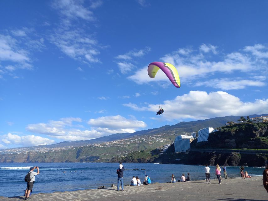 Paragliding from Puerto de la Cruz or Teide National park - Quick Highlights You Should Know